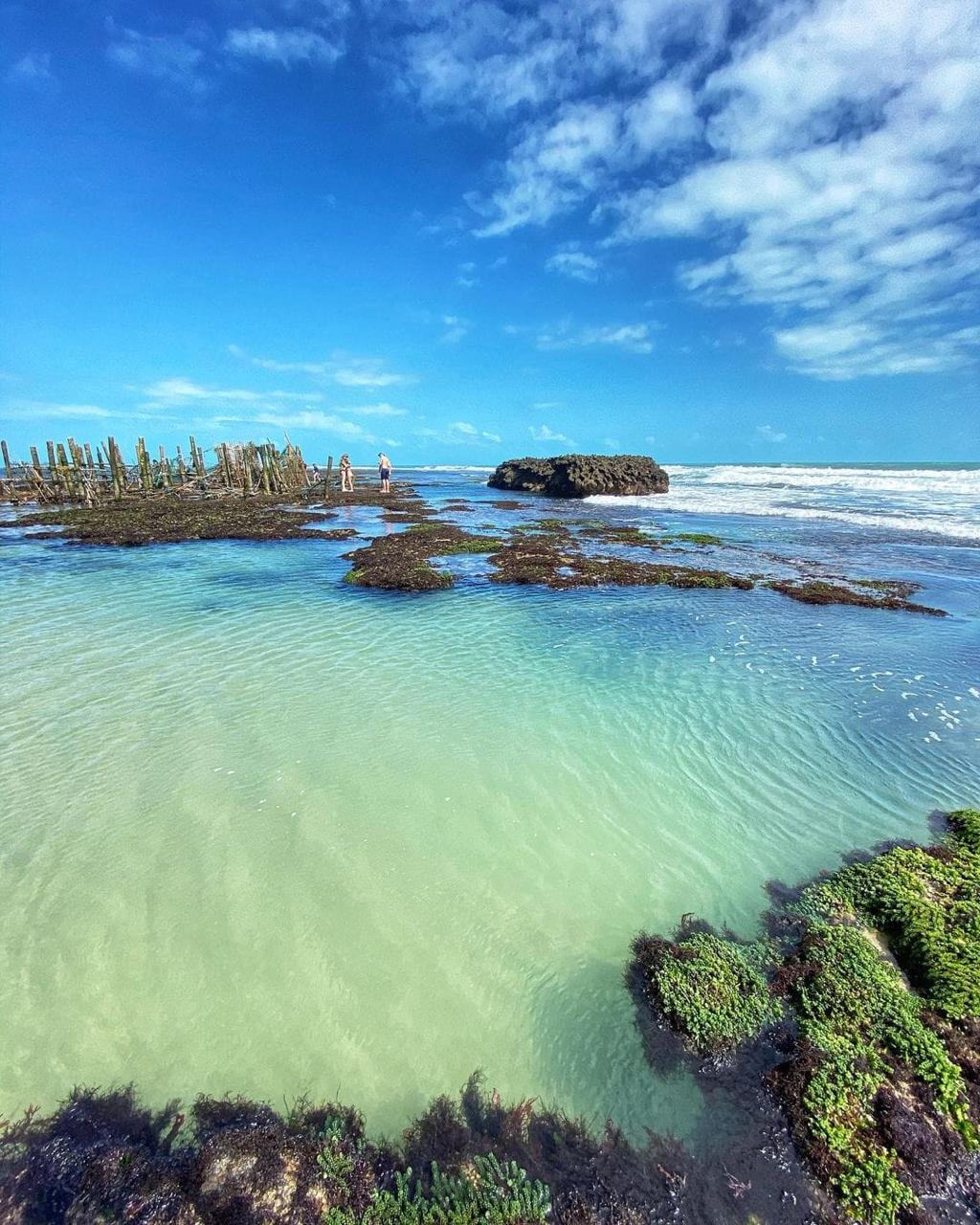 Flecheiras – natureza